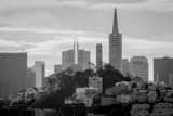 Horizontal Pioneer Park and Coit Tower black and white Photos