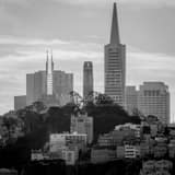 Square Pioneer Park and Coit Tower black and white Photos