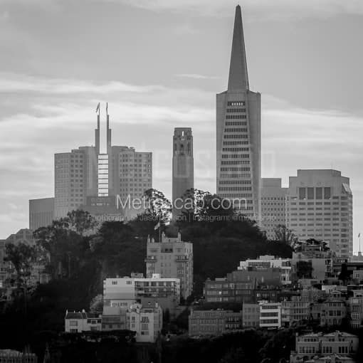 Pioneer Park and Coit Tower -- San Francisco Black and White Photos