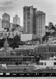 Vertical Russian Hill landscape black and white Photography