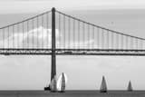Horizontal Double Sets of Sail Boats under the San Francisco Bay Bridge black and white Photos