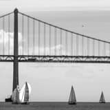 Square Double Sets of Sail Boats under the San Francisco Bay Bridge black and white Photos
