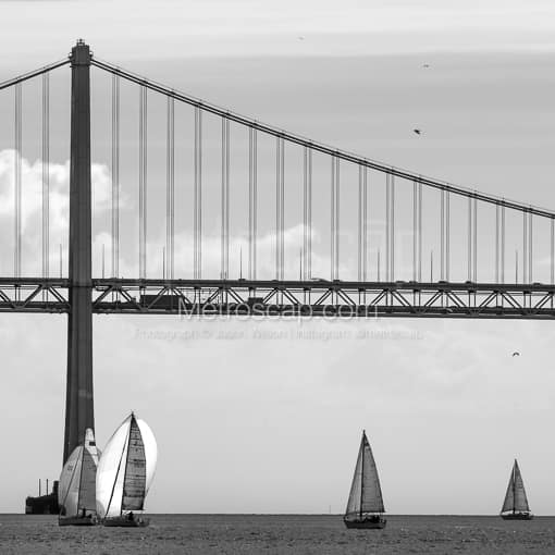 Double Sets of Sail Boats under the San Francisco Bay Bridge -- San Francisco Black and White Photos