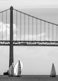 Vertical Double Sets of Sail Boats under the San Francisco Bay Bridge black and white Photos