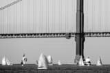 Horizontal Sailing Around the Golden Gate Bridge black and white Photos