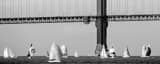 Panoramic Sailing Around the Golden Gate Bridge black and white Photos