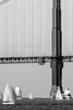 Vertical Sailing Around the Golden Gate Bridge black and white Photos