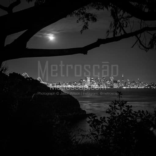 The San Francisco Skyline from Yerba Buena Island -- San Francisco Black and White Photos
