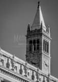 Vertical The Sather Tower on UC Berkeley Campus black and white Photos
