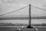 Horizontal The San Francisco Bay Bridge and Sail Boats on the Bay black and white Photos