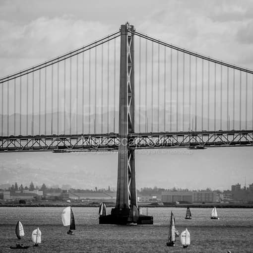The San Francisco Bay Bridge and Sail Boats on the Bay -- San Francisco Black and White Photos