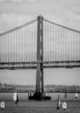 Vertical The San Francisco Bay Bridge and Sail Boats on the Bay black and white Photos
