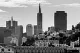 Horizontal Pier 33 on San Francisco Bay black and white Photos