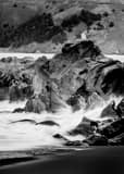 Vertical A Lone Sea Gull black and white Photos