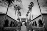 Horizontal The Stanford Main Quad black and white Photos
