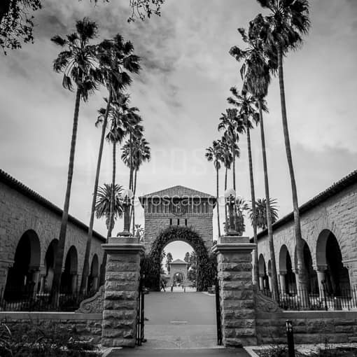 The Stanford Main Quad -- San Francisco Black and White Photos
