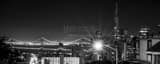 Panoramic A Street Lamp over San Francisco at 3am black and white Photos
