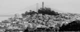 Panoramic Telegraph Hill Coit Tower and the Bay Bridge black and white Photos