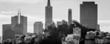 Panoramic Telegraph Hill in Downtown San Francisco black and white Photos