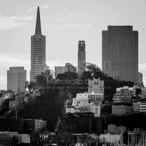Telegraph Hill in Downtown San Francisco -- San Francisco Black and White Photos