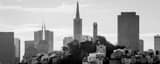 Panoramic Telegraph Hill and San Francisco Skyline black and white Photos