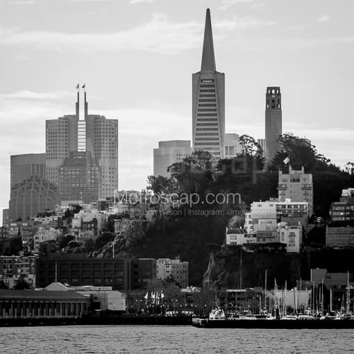 Telegraph Hill and San Francisco Skyline -- San Francisco Black and White Photos