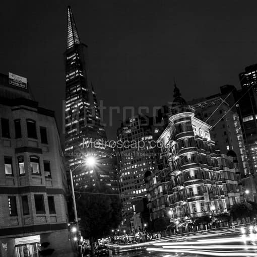 Transamerica Pyramid at Night -- San Francisco Black and White Photos