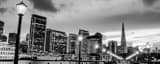 Panoramic The Transamerica Pyramid black and white Photos