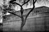 Horizontal Woo Hon Fai Hall on the UC Berkeley Campus black and white Photos