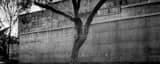 Panoramic Woo Hon Fai Hall on the UC Berkeley Campus black and white Photos