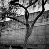 Square Woo Hon Fai Hall on the UC Berkeley Campus black and white Photos