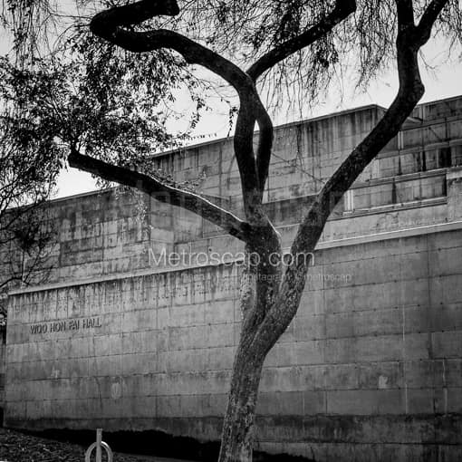 Woo Hon Fai Hall on the UC Berkeley Campus -- San Francisco Black and White Photos