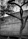 Vertical Woo Hon Fai Hall on the UC Berkeley Campus black and white Photos
