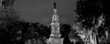 Panoramic The Confederate Soldiers Monument in Forsyth Park Photography
