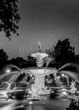 Vertical The Forsyth Fountain in Savannah black and white Photography