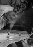 Vertical Forsyth Fountain Close Up black and white Photography