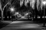 Horizontal The Central Path Through Forsyth Park black and white Photography