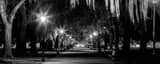 Panoramic The Central Path Through Forsyth Park black and white Photography