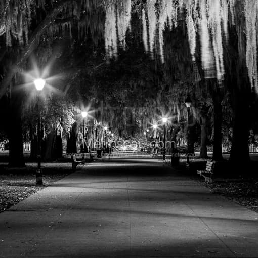 The Central Path Through Forsyth Park -- Savannah Black and White Photography