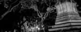 Panoramic The Gordon Monument in Wright Square black and white Photography