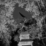 Square The Jasper Monument in Madison Square black and white Photography