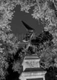 Vertical The Jasper Monument in Madison Square black and white Photography