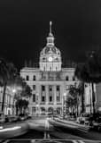 Vertical Savannah City Hall from Johnson Square black and white Photography
