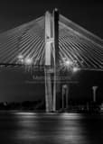 Vertical The Talmadge Bridge to Hutchinson Island black and white Photography