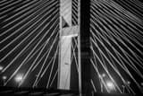 Horizontal Cable Supports on the Talmadge Bridge black and white Photography