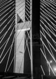 Vertical Cable Supports on the Talmadge Bridge black and white Photography