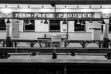Horizontal Farm Fresh Produce at Pike Place Market landscape black and white Photography