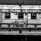 Square Farm Fresh Produce at Pike Place Market landscape black and white Photography