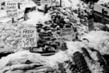 Horizontal Fresh Fish at Seattle Public Market landscape black and white Photography