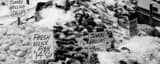 Panoramic Fresh Fish at Seattle Public Market landscape black and white Photography